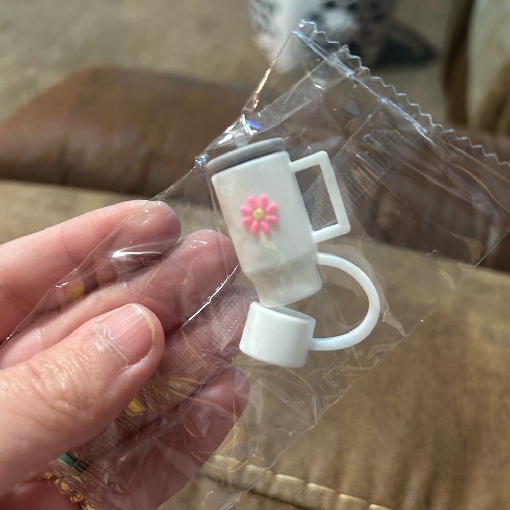 Straw cap cover